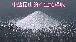 盐海珠联：中盐昆山的产业链辉映