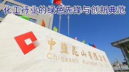 中盐昆山有限公司：化工行业的绿色先锋与创新典范