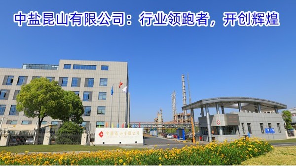 2024.8.2中盐昆山有限公司：行业领跑者，开创辉煌