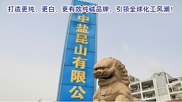 打造更纯、更白、更有效纯碱品牌，引领全球化工风潮