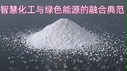 中盐昆山有限公司：智慧化工与绿色能源的融合典范