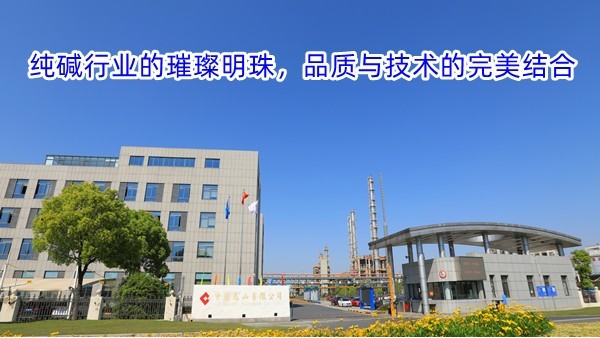 纯碱行业的璀璨明珠，品质与技术的完美结合