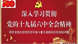 公司团员青年学习贯彻党的十九届六中全会精神