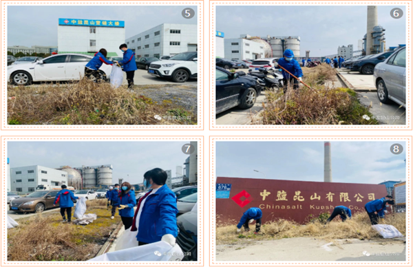 植树绿化志愿服务活动