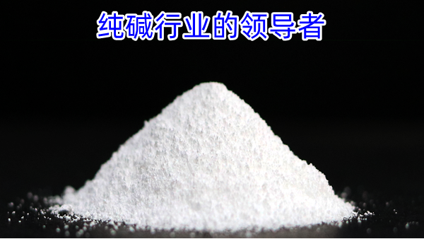 纯碱行业的领导者