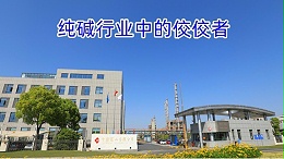 纯碱行业中的佼佼者