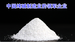 中国纯碱制造业的领军企业