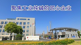 聚焦工业纯碱的匠心企业