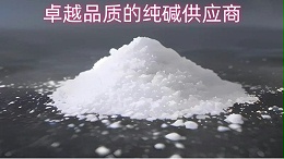 中盐昆山：卓越品质的纯碱供应商