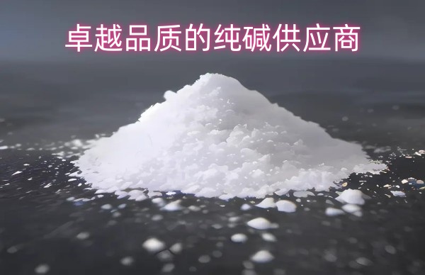 中盐昆山：卓越品质的纯碱供应商