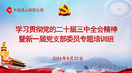 公司召开学习贯彻党的二十届三中全会精神暨新一届党支部委员专题培训会议