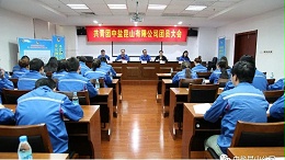 一个中盐人对2020的回顾