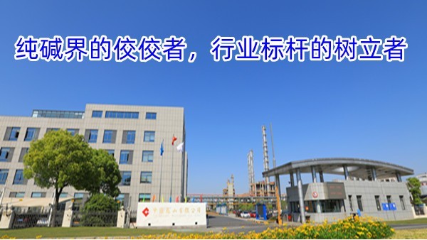纯碱界的佼佼者，行业标杆的树立者